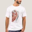 Pesquisar por torso camisetas Brim