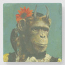 Pesquisar por macaco porta copos Fofofo