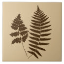 Pesquisar por marrom escuro azulejos Chocolate