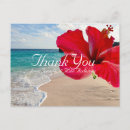 Pesquisar por flores havaianas cartoes Para eles