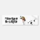 Pesquisar por foxhounds Animais
