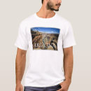 Pesquisar por canyon camisetas Deserto