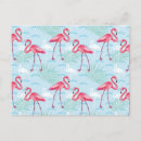 Pesquisar por pássaros tropicais cartoes postais Flamingo