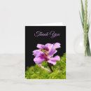 Pesquisar por fundo violeta cartoes Floral