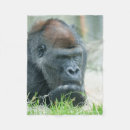 Pesquisar por gorila mantas Vida selvagem