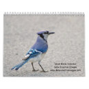 Pesquisar por aviário calendarios Cardeais