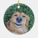 Pesquisar por pet photo ornamentos Fofofo