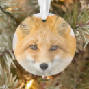 Pesquisar por raposa ornamentos Animal