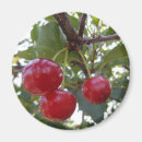 Pesquisar por vermelho cereja imas Fazenda
