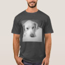 Pesquisar por misturar camisetas Pai