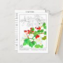 Pesquisar por espinhos cartoes cartoes postais Qualquer pessoa