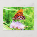 Pesquisar por pic cartoes postais Natureza