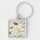 Pesquisar por insetos chaveiros Borboletas