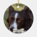 Pesquisar por border collie ornamentos Fofo
