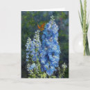 Pesquisar por delphinium cartoes postais Natureza