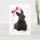 Pesquisar por scottish terrier natal cartoes Pet