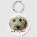 Pesquisar por doodles chaveiros Goldendoodle
