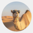Pesquisar por camelo engraçado adesivos Deserto
