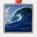 Pesquisar por fiji ornamentos Oceano