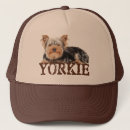 Pesquisar por filhotes de cachorro bones Yorkshire terrier
