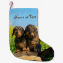 Pesquisar por dachshund meias de natal Engraçado