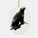 Pesquisar por peludo ornamentos Natureza