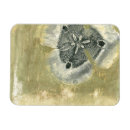 Pesquisar por plano imas Pintura