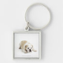 Pesquisar por empresa de pequeno porte chaveiros Natureza