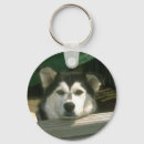 Pesquisar por caninos chaveiros Dogs