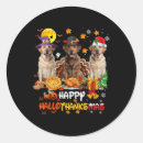 Pesquisar por happy dog adesivos Feliz natal