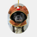 Pesquisar por do pug ornamentos Rena