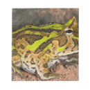 Pesquisar por brasil bloco de notas Natureza