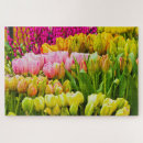 Pesquisar por flor da tulipa Qualquer pessoa