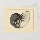 Pesquisar por black white cartoes postais Conchas