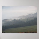 Pesquisar por floresta névoa pôsteres Neblina