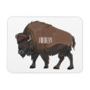 Pesquisar por planícies imas Bison americano