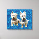 Pesquisar por westies fotografia Terrier