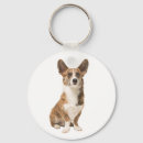 Pesquisar por cute dog chaveiros Corgi