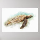 Pesquisar por tartaruga marinha pôsteres Aquarela