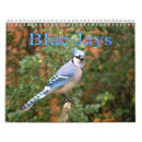 Pesquisar por jay calendarios Pássaro