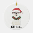 Pesquisar por shih tzu Aquarela