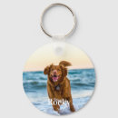 Pesquisar por animal de estima Dogs