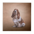 Pesquisar por tiragem casa presentes Canino