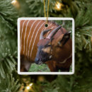 Pesquisar por risco ornamentos Feriado