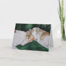 Pesquisar por whippets cartoes Dogs