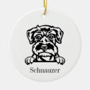 Pesquisar por schnauzer ornamentos Cão