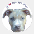 Pesquisar por pit bull adesivos Apto