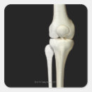 Pesquisar por ossos humanos adesivos Médico