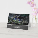 Pesquisar por da moeda cartoes Qualquer pessoa