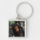 Pesquisar por chimpanzé chaveiros Animal